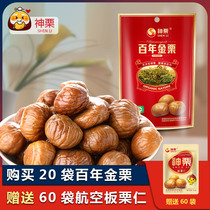 Shenli Hebei Chengde specialty organic cooked chestnut seed chestnut Gren snack hundred years gold chestnut 88gx20 bag New