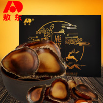  Jilin Aodong deer antler slices full wax slices Northeast stubble deer antler slices soup wine water gift box packaging wax slices