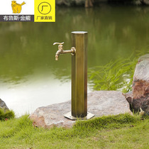 Outdoor 304 stainless steel antique faucet antifreeze crack column Villa courtyard garden outdoor faucet all copper