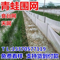 Frog Enclosure Nets Breeding Frog Special Feeding Table Nets Fed 60 Bull Frog Anti-Escape Nets Plastic 40 Mesh Frog Cage