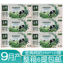 Yili Jindian pure milk Golden code 250ml * 12*6 mention Jiangsu Zhejiang Shanghai and Anhui whole box 9 months