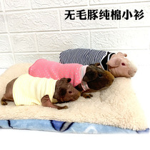 Hairless guinea small river Horse no woolen pig Dutch pig germaphos guinea pig clothing pure cotton single-piece with warm clothes