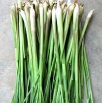  Lemongrass lemongrass lemongrass pure dew raw materials five kg shipped without leaves