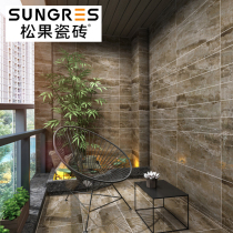 Pinecone Modern Simple Dark Gray Marble Tiles Dark Toilet Kitchen Wall Tiles Floor Tiles 300 600