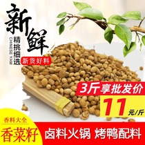 Rapeseed 500g seasoning coriander Coriander Spice Coriander Seeds Humalade powder Sesame Meat Hot Pot can be powder