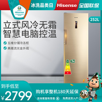 Hisense BD-252WT frost-free commercial large freezer freezer freezer Household small vertical single door