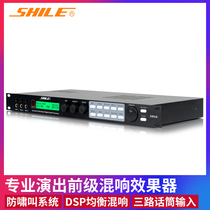 Lion Music Tianqin No 5 pre-stage effect processor KTV anti-howling reverberator Home K song mixer