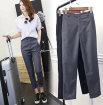 Spring and autumn small straight suit pants women high waist slim professional ankle-length pants slim tooling pipe pants casual Haren pants