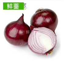 Vegetable seeds Spring seed onion seeds Red onion seeds Family planting National cultivation of four seasons