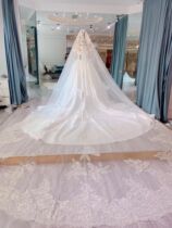 (Custom style) upscale Pale Champagne Bridal Wedding Dresses Hotel Ceremony LONG TUG Trailing Head Yarn