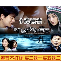 TV series Our youth with no place to put it DVD 8 discs Tong Dawei Chen Daoming Jiang Yiyan