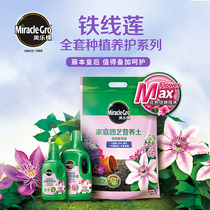 Melody rose rose hydrangea clematis acid rhododendron Jasmine nutrient soil granular slow-release fertilizer concentrated liquid fertilizer