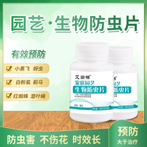 Horticultural boron fertilizer flower green plant summer insect repellent piece effective small black powder aphid horticulture boron sugar fertilizer