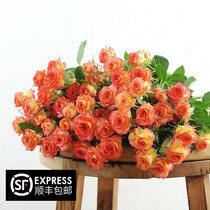 Fresh rose A-class multi-head rose carnival bubble 10 tie multi-head air transport throughout the country