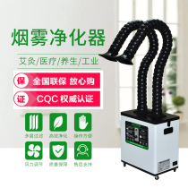Mobile soldering iron Solder Smoke purifier moxibustion activated carbon smoking machine laser marking smoke exhaust equipment