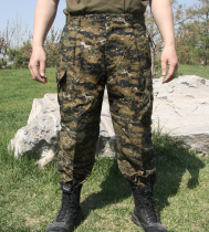 American training pants BDU pants American training pants jungle digital camouflage pants