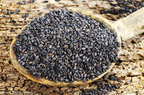 3 pieces of raw black sesame farmhouse self-produced Black Sesame Seeds Aso New Cargo Five Valley Cereals Coarse Grain Oil Black Sesame 500g