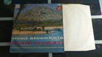 Stan Hus Wout Steenhuis Blue Hawaii LP046