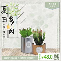 Fresh and fashionable modern desktop European simulation of meat cactus aloe vera plant creative home decoration small piece