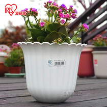 Alice resin wall wall wall hanging flowerpot home gardening indoor and outdoor planting plants vegetable pot delivery adhesive hook