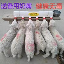 Pacifier Pasture Automatic paparazzi Weaning piglets feeder Nanny machine Lamb Sheep calf Animal milk dog artifact