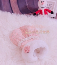 Pet cat and dog Teddy Yorkshire pony Autumn and winter small fragrance Fur collar socialite thick coat dress skirt