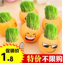 Office micro landscape mini plant small potted plant with seeds QQ expression cultivation student prize Graduation gift