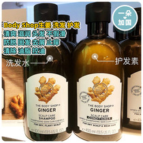 (One) Canada The Body Shop ginger shampoo conditioner anti-off control oil