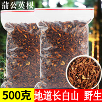 Dandelion root tea Changbai Mountain wild premium natural mother-in-law Ding pure with root dried premium 500 grams 1 catty