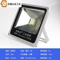 Tesla Industrial Lighting led floodlight waterproof outdoor light floodlight advertising light 30w100w Putra 3