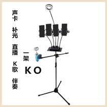 Handheld condenser microphone Microphone stand Floor-standing professional singing K song and dance platform Vertical wheat rack shelf three feet