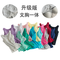 Cotton bra-t with chest pad camisole vest women without steel ring bra cup one sports yoga underlay underwear