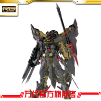 Bandai Model RG 1 144 Golden Heresy Day Mina gundam gundam