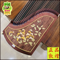  Dunhuang Guzheng beginner novice practice piano Mid-range guzheng Buddha cloud Zhongshan a curtain of dreams 7694RR New Zheng
