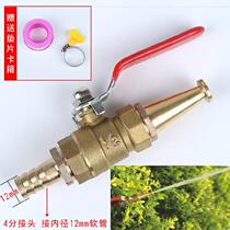 With valve agricultural 4 points 6 points 1 inch water pipe hose straight plug nozzle straight spray home flush straight head atomization splicing