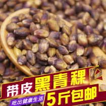 High-quality black barley with skin black highland barley Qinghai-Tibet Plateau specialty 500g health good food farm grains