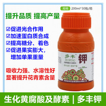 Multi-rich potassium fulvic acid enzyme rot value acid fruit tree coloring sweetening quality to promote photosynthesis to improve sugar content