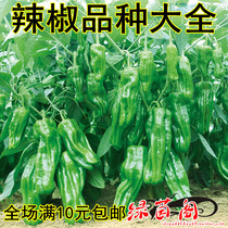 Lunan thin-skinned chili pepper pickled pepper Hong Kong pepper ChaoTianjiao ornamental pepper early-maturing and high-yielding vegetable seeds