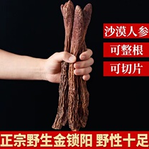 Gansu Golden Lock Yang Ara Hospice Lock Yang 500g Whole Root Wild Sliced Raw Nourishing Bubble Wine Material Lock Yang Chinese Herbal Medicine