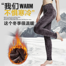 Mesh cotton pants womens winter youth plus velvet thickened extended high waist outside wearing warm pants Womens high thin section base