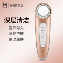 Gold Rice Import Instrument Beauty Instrument Home Face Tender Skin Ion Export Facial Beauty Skin Massage Pores Cleaner