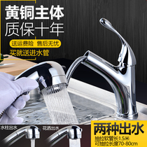 All copper wash basin kitchen pull hot and cold water faucet rotating vegetable basin sink faucet basin basin basin faucet