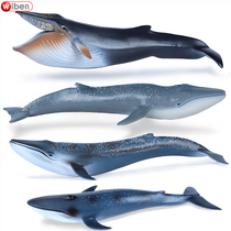 Simulation large blue whale model toy Ocean animal model Plastic solid boys children children cognitive gift