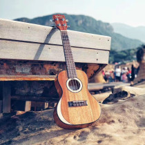 UMA Taobayan Muzepan Ekririukulele Little Guitar Moonlight 23 inch26 finger at the beginning of the first learning