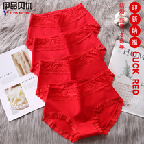 Big Red year womens underwear womens cotton 100% cotton crotch antibacterial streak lace size triangle shorts