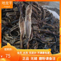 Chinese herbal medicine Guangxi wild earthworm dry earthworm dry 250g without sand full open wide earthworm earthworm powder non-500g