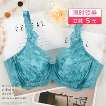 New Pint Large Chest Display Small Sea Cotton Ultra-thin Full Cups Bra Hood Breathable Anti-Breakout Point Coaling Side Collecting Big Code Comfort