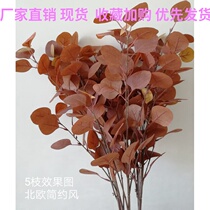 Eucalyptus Apple leaves Nordic simple wedding green eucalyptus leaves factory direct wedding simulation flower round leaf batch