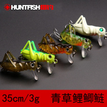 Hunting and fishing Luya bait Mino Grasshopper Cricket bait Insects Target grass carp Carp Silver Carp Crucian Carp Freshwater domestic fish