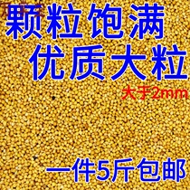 New yellow millet with Shell Millet Bird Food bird food feed small and medium-sized parrot wimbird peony whirlwind tiger skin 5kg